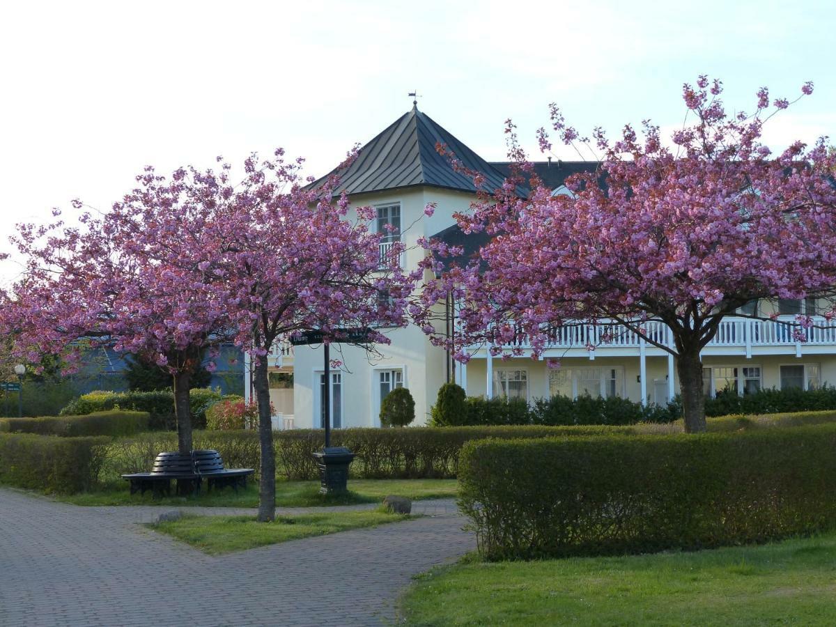 Duenenpark In Binz Fuer Eltern Und Kind Leilighet Eksteriør bilde